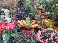 -秦美花卉(天朗·莱茵小城2期店)