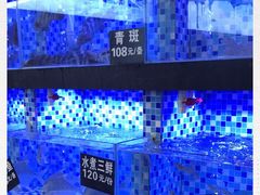 -莲花公园煎蟹(总店)