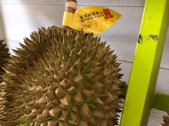 -都念榴莲·城市榴莲