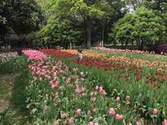 -上海鲜花港