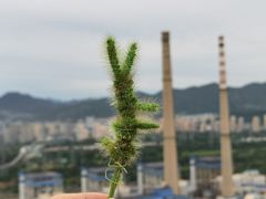 -红光山