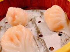 -火齐潮汕砂锅粥(五道口店)