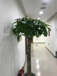 点击看大图 -丰联丽格医疗美容·联合丽格眼整形中心