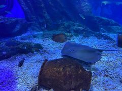 -海合安武汉极地海洋公园