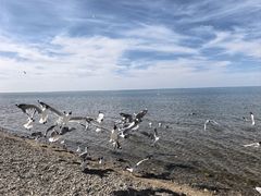 -青海湖二郎剑景区