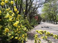 -北京世界公园