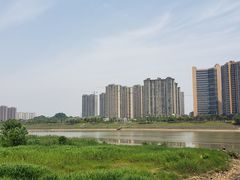 -黑色经典臭豆腐·湖南特产(太平街口店)