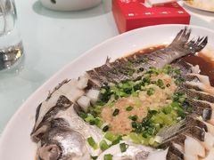 -西北人家莜面村(怀特店)
