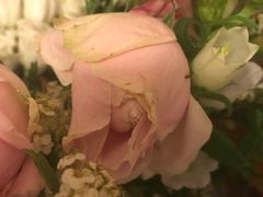 -婷意花宇TheGracesFloral(北外滩店)