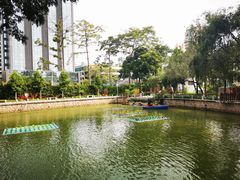 -金砂公园