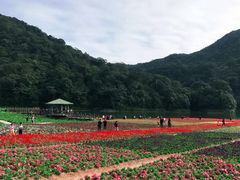 -广州市石门国家森林公园