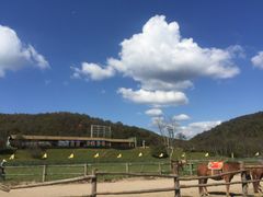 -大水川景区