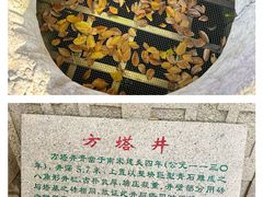 -常熟方塔园