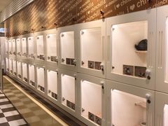 -龙猫仔乐园(惠福东路店)