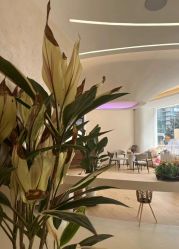 -侒悦缦月子中心·疗愈园区(龙岗店)