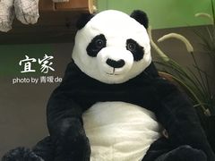 -宜家家居(西安未央商场店)