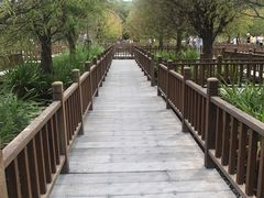 -五缘湾湿地公园