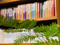 -二酉书店TOYOU BOOKS