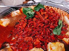 -探鱼·鲜青椒爽麻烤鱼(北京路天河城店)