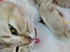 -联合动物医院(光谷诊疗中心)