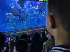 -蓬莱欧乐堡海洋极地世界