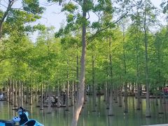 -泗洪洪泽湖湿地景区
