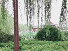 -济南大明湖景区