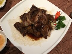 -金燕岛潮州酒楼