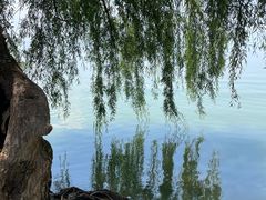 -捞渔河湿地公园