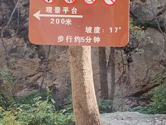 -大岭沟猕猴桃谷风景区