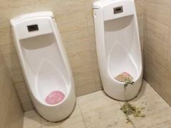 -蝎王府羊蝎子(西直门店)