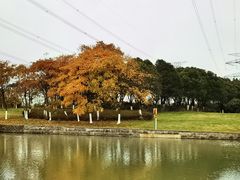 -九里河湿地公园