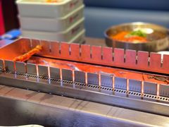 -邢氏老太太烤串(北兴街店)