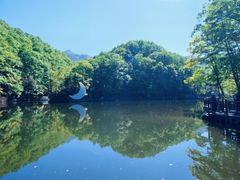 -洛阳白云山景区