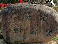 -嘉定紫藤园