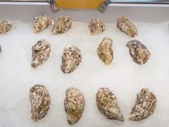 -蚝老板海鲜烧烤大排档(码头店)