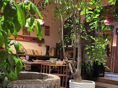 -慢丽江·云南野生菌土鸡锅(付家庄店)