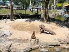 -北京野生动物园