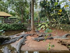 -海南热带野生动植物园