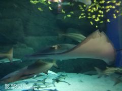 -成都浩海立方海洋公园