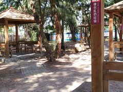 -北海金海湾红树林生态旅游区