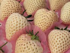 -哈尔信阳光农园超市(沈阳三台子万象汇店)