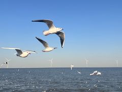 -小蕃茄意大利餐厅(开发区时尚天街店)