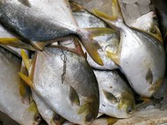 -青石桥市场北1-27号