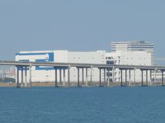 -大湾区中央湿地公园