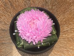 -宁波柏悦酒店·钱湖渔港