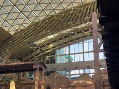 -杭州开元森泊度假乐园