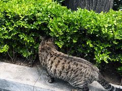 -正阳书局(西四南大街店)