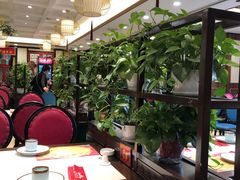 大堂-陈家老院子(高新店)