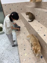 -Moni星球萌宠·小马宝莉·灵蛇·高端高阶全萌宠互动体验俱乐部(红豆国际广场店)